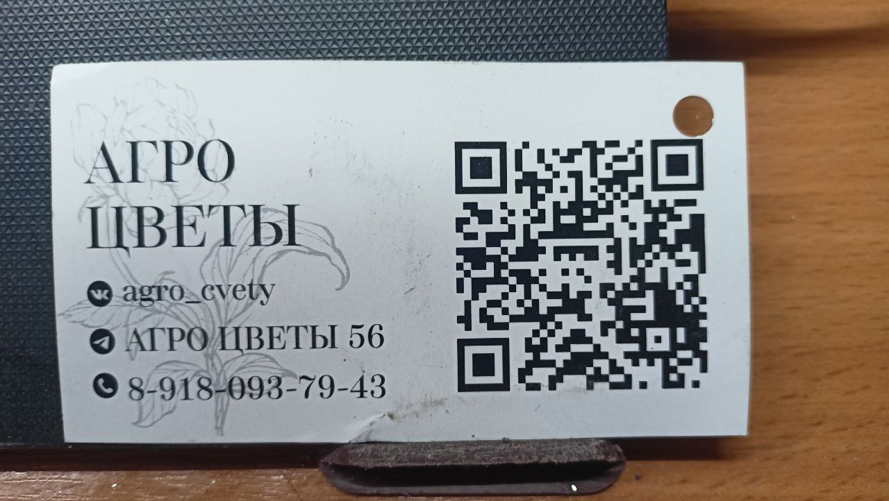 АГРОЦВЕТЫ 56